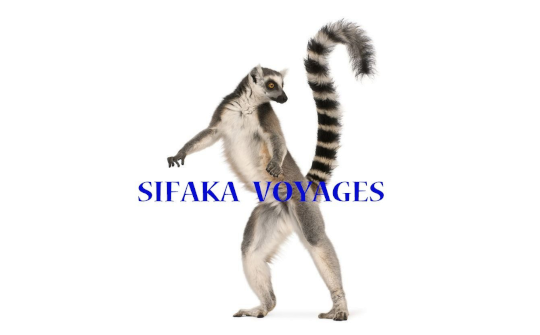 Sifaka Voyages